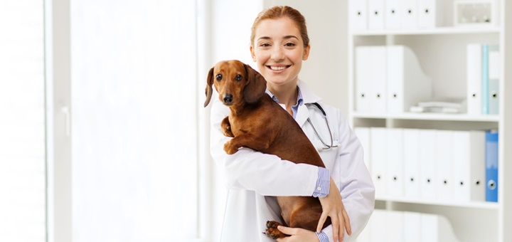 Cuánto gana un técnico veterinario por hora